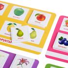 Лото «Растительный мир» по методике Г. Домана, в пакете - фото 24607273