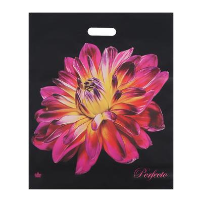 Пакет «Перфекто Герцогиня», полиэтиленовый с вырубной ручкой, 95 мкм 42×48 см