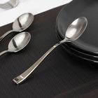 Ложка одноразовая, пластик,17.5 см, столовая, серебристая - Фото 1