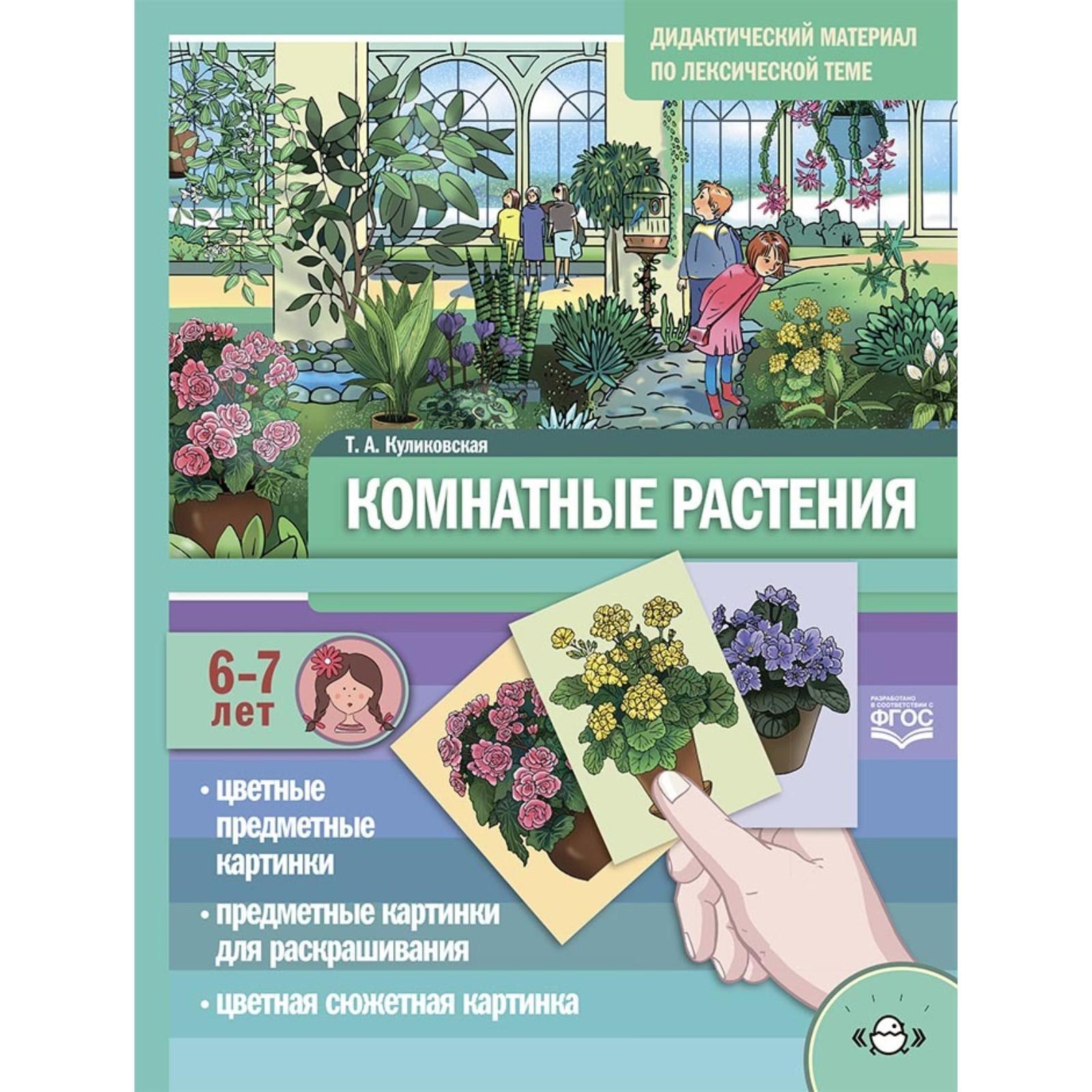 Комнатные растения. Дидактический материал по лексической теме. От 6 до 7  лет. Куликовская Т. А. (6957874) - Купить по цене от 213.00 руб. | Интернет  магазин SIMA-LAND.RU