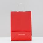 Пакет подарочный крафт Красный, 18 х 8 х 25 см (комплект 10 шт) - фото 41981949