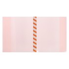 Набор обложек ПЭ 5 штук, 217×400 мм, 200 мкм, для дневников и проверочных работ, универсальная, с закладкой, МИКС - Фото 11