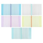 Набор обложек ПЭ 5 штук, 305×500 мм, 200 мкм, для учебников формата А4+, универсальная, с закладкой, МИКС - Фото 5