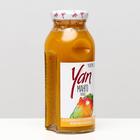 Сок манго восстановленный YAN, 250 мл - Фото 2