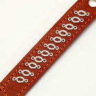 Ошейник кожаный на фетре украшеный, 65 х 3,5 см, ОШ 50-60 см, коричневый - фото 10031095