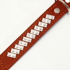 Ошейник кожаный на фетре украшеный, 65 х 3,5 см, ОШ 50-60 см, коричневый - фото 10031087