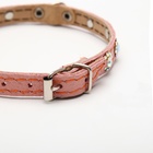Ошейник кожаный двухслойный со стразами, 1,2 х 35 см, ОШ 20-30 см, розовый - фото 24312632
