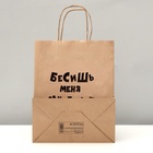 Пакет подарочный «Бесишь много лет», крафтовый, 24×10×30 см 6709669 - фото 14529404