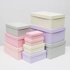 Набор коробок 10 в 1 "Дымка", 30,5 х 20 х 13 - 12 х 6,5 х 4 см - фото 23056925