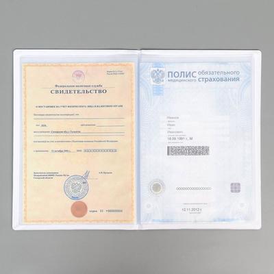 Папка для семейных документов Docs, 8 файлов А4