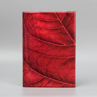 Папка для семейных документов Docs, 8 файлов А4