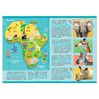 Книжка с наклейками «Животные нашей планеты», 16 стр. - Фото 2