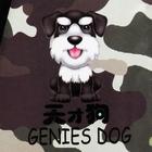 Ветеринарный воротник №4, обхват шеи 29-33 см, высота 13.5 см, цвет хаки - Фото 6