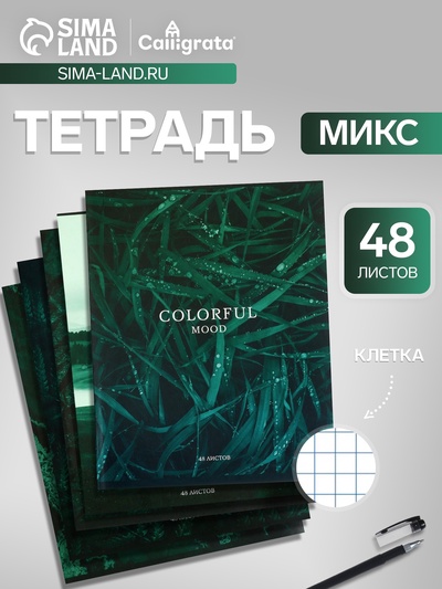 Тетрадь 48 листов в клетку, Calligrata «Изумруд», МИКС