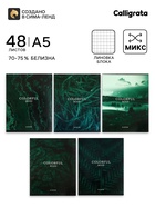 Тетрадь 48 листов в клетку, Calligrata «Изумруд», МИКС - Фото 1