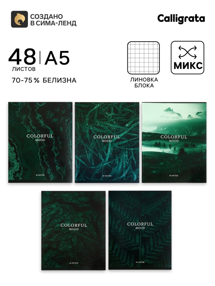 Тетрадь 48 листов в клетку, Calligrata «Изумруд», МИКС - Фото 1