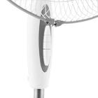 Вентилятор Centek CT-5015 Gray, напольный, 40 Вт, 43 см, 3 скорости, автоповорот, подсветка - фото 51444596 Вентилятор Centek CT-5015 Gray, напольный, 40 Вт, 43 см, 3 скорости, автоповорот, подсветка - фото 51444596
