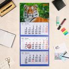 Календарь квартальный, трио "Символ года - 46" 2022 год, 31 х 69 см - Фото 1