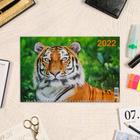 Календарь квартальный, трио "Символ года - 46" 2022 год, 31 х 69 см - Фото 3