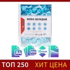 Файл - вкладыш Calligrata, А4, глянцевый, вертикальный, 100 штук, эконом - Фото 1