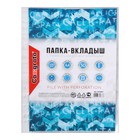 Файл - вкладыш Calligrata, А4, глянцевый, вертикальный, 100 штук, эконом - Фото 3