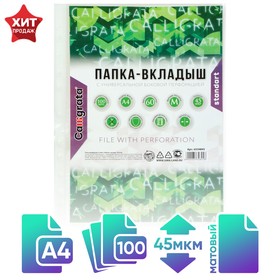 Файл-вкладыш А4, 45 мкм, Calligrata, матовый, вертикальный, 100 штук 6534845