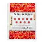 Файл-вкладыш А4, 60 мкм, Calligrata, плотные, глянцевый, вертикальный, 50 штук - Фото 3