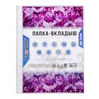 Файл - вкладыш Calligrata «Премиум», А4, 90 мкм, плотный, глянцевый, вертикальный, 50 штук - Фото 3