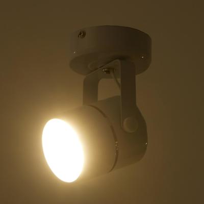 Светильник 5.0215, 1х50Вт GU5.3, цвет белый