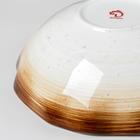 Салатник фарфоровый Доляна «Млечный путь», 700 мл, d=17,5 см, цвет коричневый - Фото 3