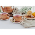 Чайная пара фарфоровая Доляна «Млечный путь», 2 предмета: чашка 220 мл, блюдце d=13,5 см, цвет коричневый - Фото 5