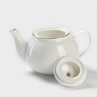 Чайник фарфоровый заварочный Доляна «Млечный путь», 900 мл, цвет белый в крапинку - Фото 3