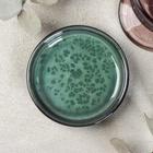 Блюдо Verde notte, d=10 см - Фото 2