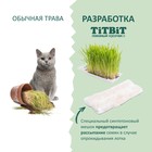 Трава TiTBiT для кошек, ячмень, 50 г - фото 10038393