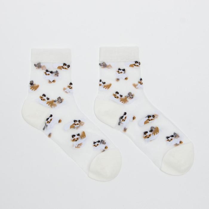 Носки женские "Лисички", цвет белый, размер 36-40 - Фото 1