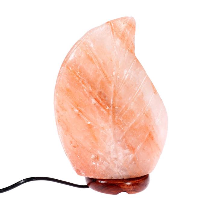 Солевая лампа Wonder Life "Лист", 15 Вт, розово-красная гималайская соль, от сети - Фото 1