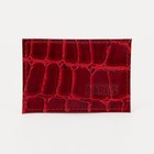 Картхолдер, цвет красный - Фото 1