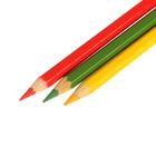 Карандаши 24 цвета Koh-I-Noor 3834 POLYCOLOR 3834, картонная упаковка, европодвес - фото 21262373