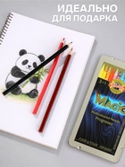 Карандаши цветные цельнографит 12 цветов Koh-I-Noor PROGRESSO MAGIC 8772, металлический пенал - Фото 2