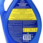 Удобрение Фертика Кристалон для клубники и земляники, 1 л - Фото 2