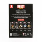 Книга квест - игра «Загадка подземного лабиринта», 22 стр., 8+ - Фото 5