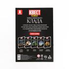 Книга квест - игра «Тайна пиратского клада», 22 стр., 8+ - Фото 5