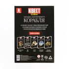 Книга квест - игра «Загадка затонувшего корабля», 22 стр., 8+ - Фото 5