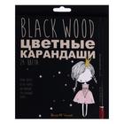 Карандаши 24 цвета BlackWoodColor, пластиковые, трёхгранные, МИКС 4810929 - фото 12493713