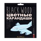 Карандаши 24 цвета BlackWoodColor, пластиковые, трёхгранные, МИКС 4810929 - фото 12493714