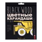 Карандаши 24 цвета BlackWoodColor, пластиковые, трёхгранные, МИКС 4810929 - фото 12493715