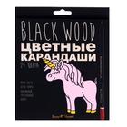 Карандаши 24 цвета BlackWoodColor, пластиковые, трёхгранные, МИКС 4810929 - фото 12493716