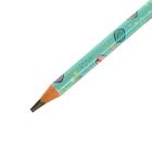 Карандаш чернографитный ArtGraphix Zefir My Sweet "Mакаруны", НВ, пластиковый корпус 6919887