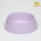 Миска 300 мл, 14,5 х 4,7 см, микс - Фото 1