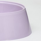 Миска 300 мл, 14,5 х 4,7 см, микс - Фото 4